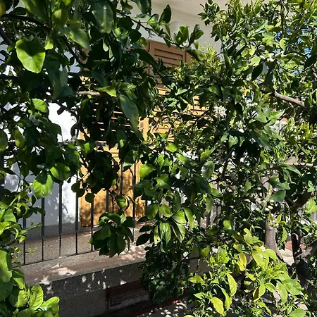 شقة Gabrijela بيوغْغاد نا موغو